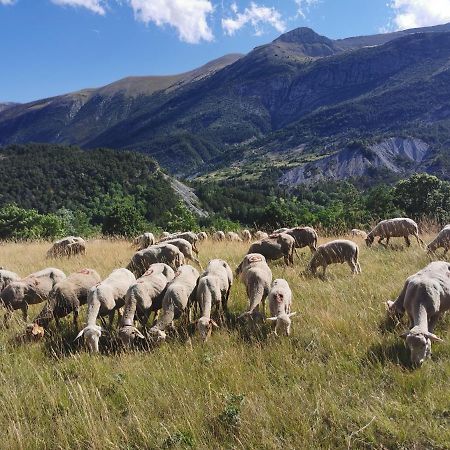 La Peyregoune, Logement En Pleine Nature Et Table D'Hotes Blieux Exteriér fotografie