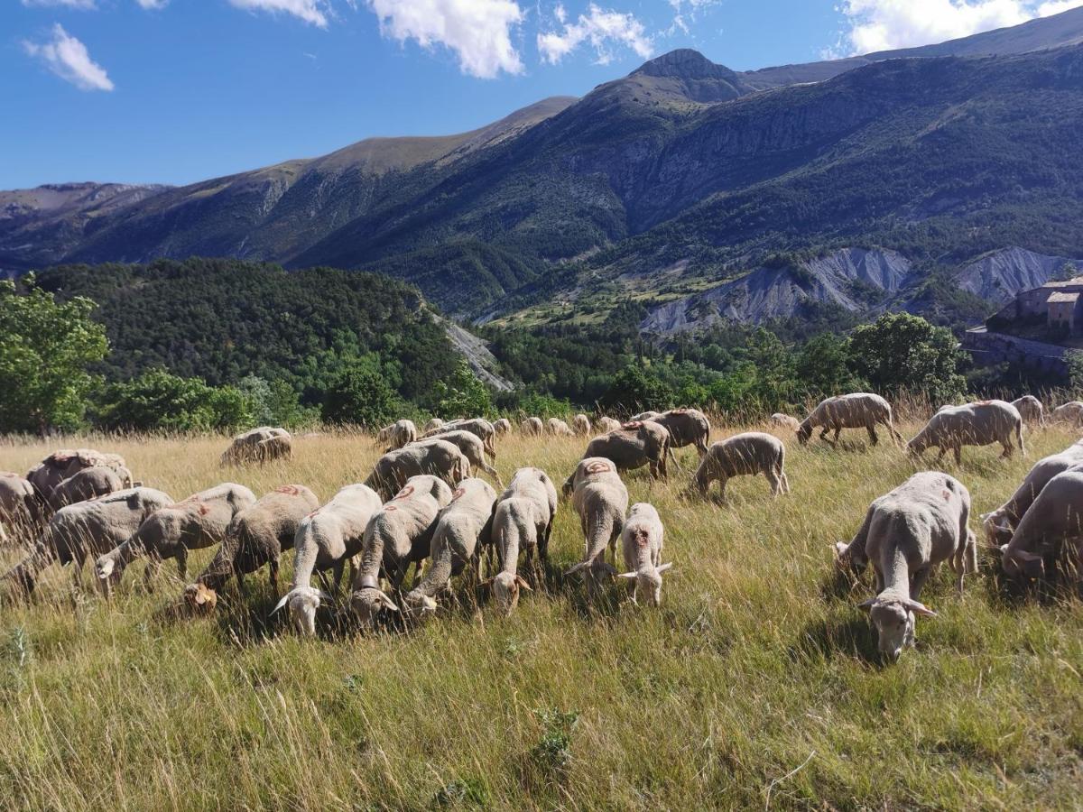 La Peyregoune, Logement En Pleine Nature Et Table D'Hotes Blieux Exteriér fotografie